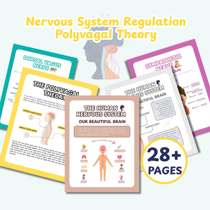 Nervous System Regulation for Kids, Polyvagal theory, Window of Tolerance