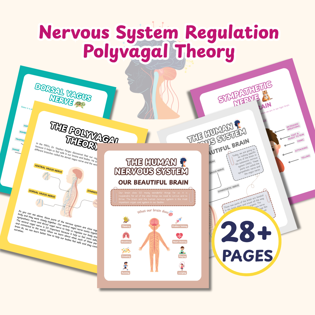 Nervous System Regulation for Kids, Polyvagal theory and Window of Tolerance