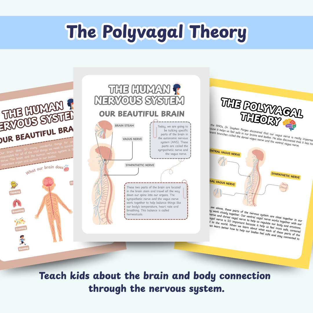 Nervous System Regulation for Kids, Polyvagal theory, Window of Tolerance