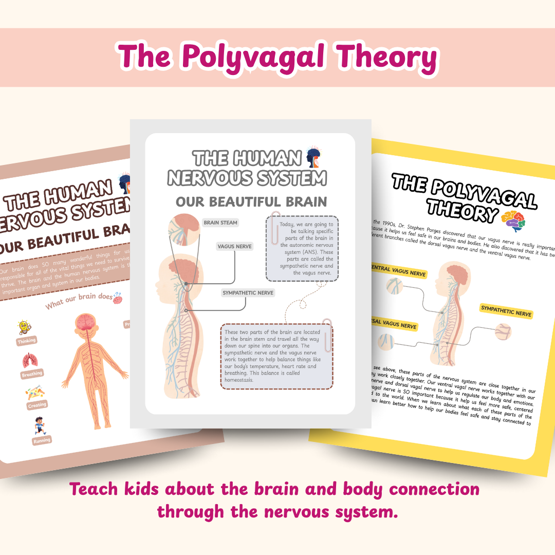 Nervous System Regulation for Kids, Polyvagal theory and Window of Tolerance