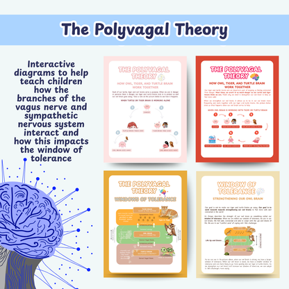 Nervous System Regulation for Kids, Polyvagal theory, Window of Tolerance