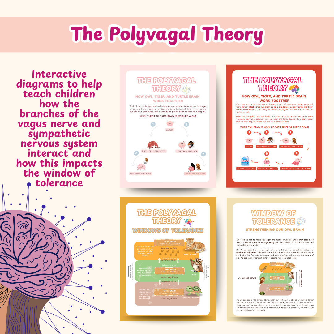 Nervous System Regulation for Kids, Polyvagal theory and Window of Tolerance