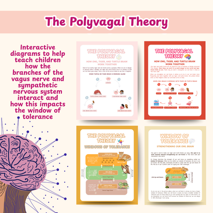 Nervous System Regulation for Kids, Polyvagal theory and Window of Tolerance